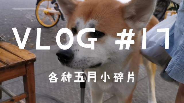 生活碎片_VLOG#17 | 小碎片合集01...